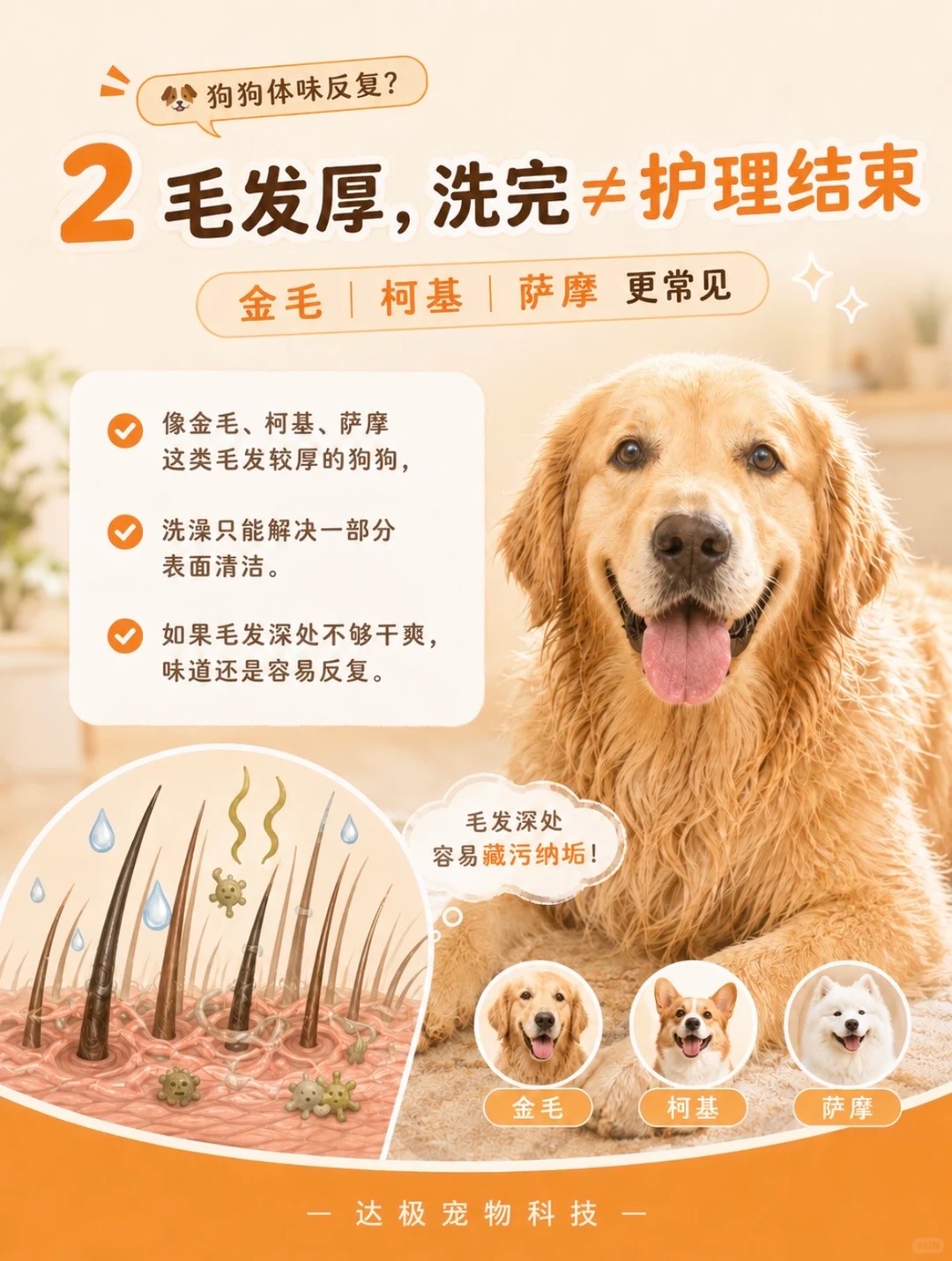 日常护理比频繁洗澡更重要